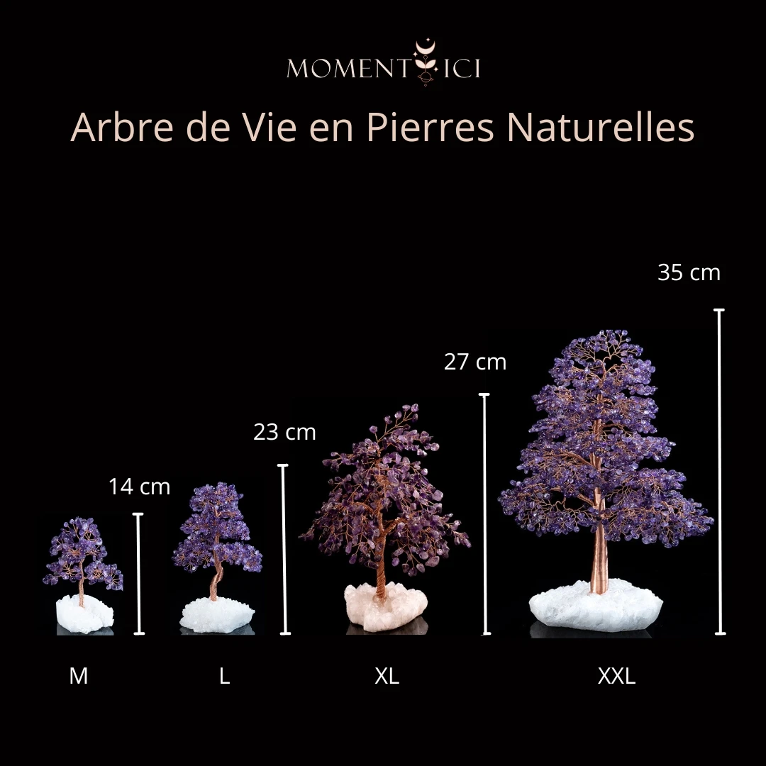 Apaisement – Arbre De Vie En Améthyste Et Quartz Clair 7 Apaisement – Arbre De Vie En Améthyste Et Quartz Clair – Image 5