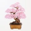 Générosité – Arbre De Vie En Quartz Rose 1 Générosité – Arbre De Vie En Quartz Rose -Moment Ici generosite arbre de vie en quartz rose 1