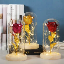Histoire DâAmour â Lampe Led Rose Eternelle Sous Cloche