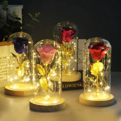 Histoire D’Amour – Lampe Led Rose Eternelle Sous Cloche 13 Histoire D’Amour – Lampe Led Rose Eternelle Sous Cloche -Moment Ici histoire d amour lampe led rose eternelle sous cloche