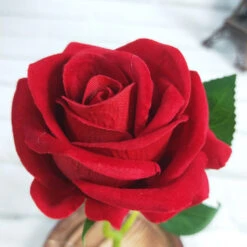 Lampe D’Ambiance – Rose Éternelle Sous Cloche 15 Lampe D’Ambiance – Rose Éternelle Sous Cloche -Moment Ici lampe d ambiance rose eternelle sous cloche 2