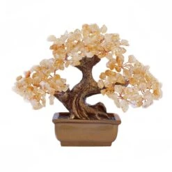 Optimisme – Arbre De Vie En Citrine 19 Optimisme – Arbre De Vie En Citrine -Moment Ici optimisme arbre de vie en citrine 2