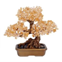 Optimisme – Arbre De Vie En Citrine 20 Optimisme – Arbre De Vie En Citrine -Moment Ici optimisme arbre de vie en citrine 4
