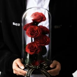 Rose Ăternelle Sous Cloche â Amour Ăternel