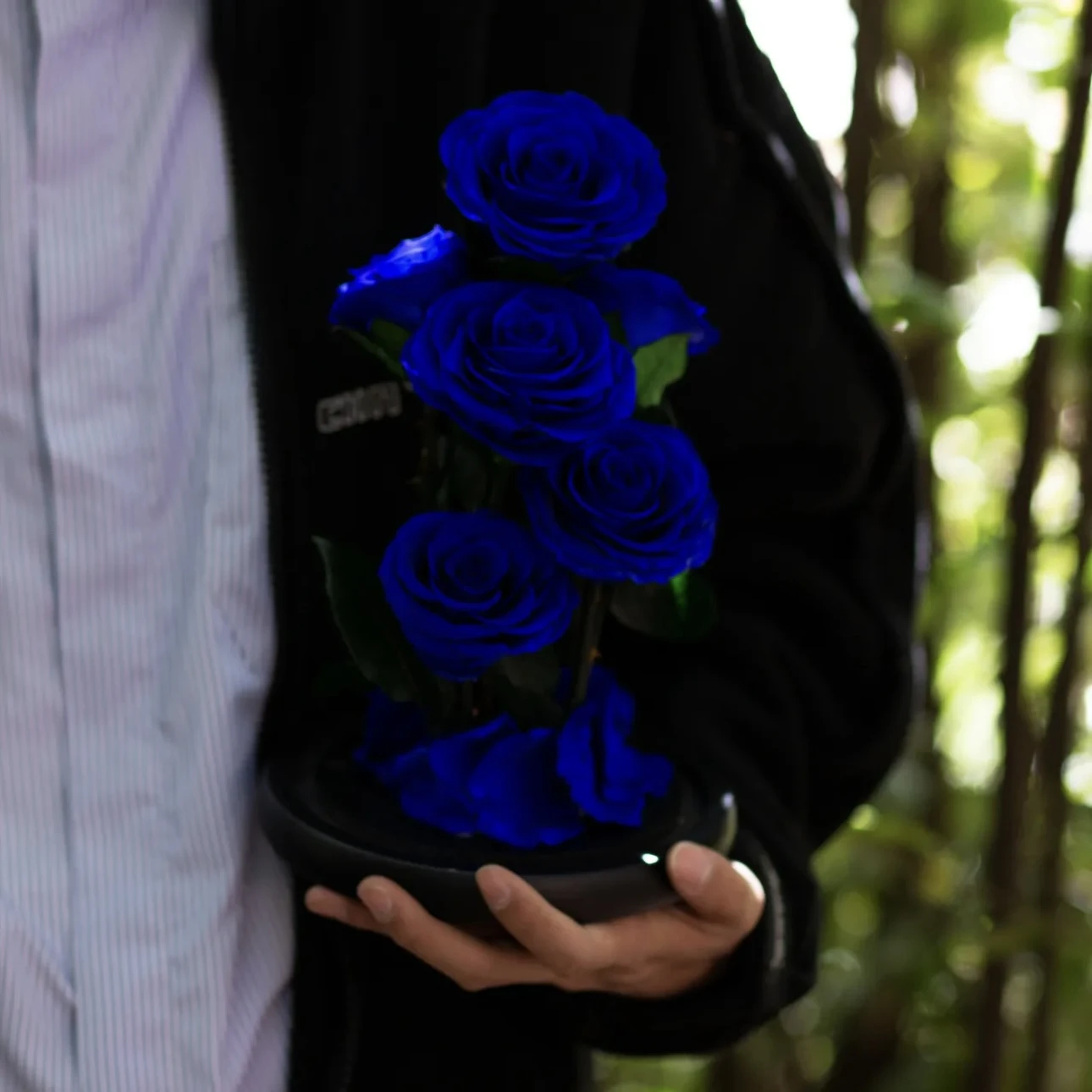 Rose Éternelle Sous Cloche – Amour Éternel 4 Rose Éternelle Sous Cloche – Amour Éternel – Image 2