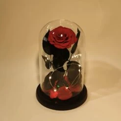 Rose Éternelle Sous Cloche – Amour Infini 16 Rose Éternelle Sous Cloche – Amour Infini -Moment Ici rose eternelle sous cloche amour infini 4