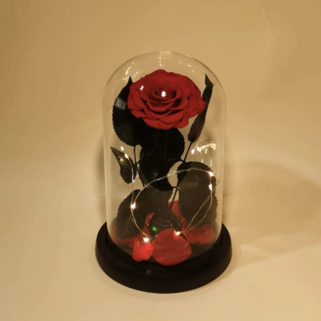 Rose Éternelle Sous Cloche – Amour Infini 5 Rose Éternelle Sous Cloche – Amour Infini – Image 4