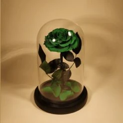 Rose Éternelle Sous Cloche – Amour Infini 21 Rose Éternelle Sous Cloche – Amour Infini -Moment Ici rose eternelle sous cloche amour infini 5