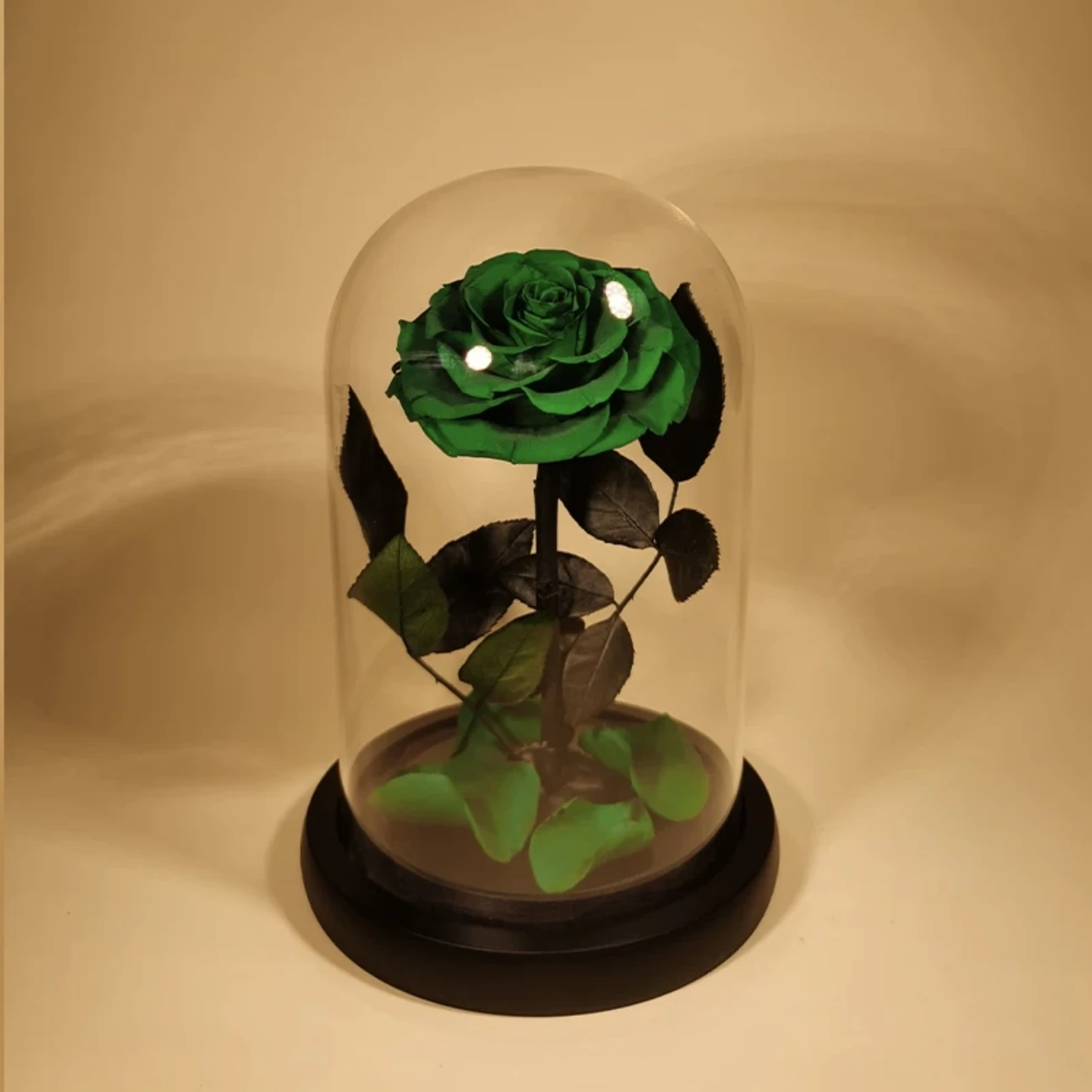 Rose Éternelle Sous Cloche – Amour Infini 10 Rose Éternelle Sous Cloche – Amour Infini – Image 9