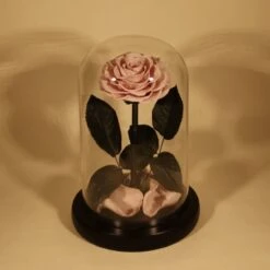 Rose Éternelle Sous Cloche – Amour Infini 17 Rose Éternelle Sous Cloche – Amour Infini -Moment Ici rose eternelle sous cloche amour infini 9